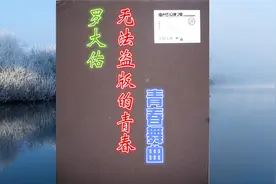 罗大佑.无法盗版的青春-青春舞曲