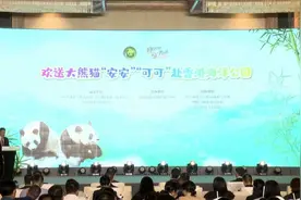[直播回放]欢送大熊猫“安安”“可可”赴香港海洋公园视频封面
