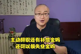 主动辞职还有补偿金吗？还可以领失业金吗？视频封面