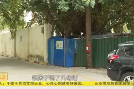 小区椰子坠落砸车 车主维权受阻