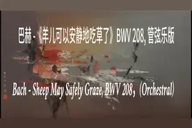 巴赫 -《羊儿可以安静地吃草了》BWV 208, 管弦乐版视频封面