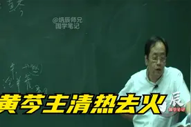 倪海厦：黄芩主清热去火视频封面