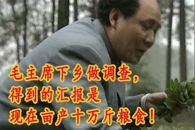 毛主席下乡却听到有人说亩产十万斤粮食，“大跃进”的实际情况。视频封面