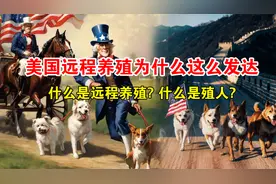 美国远程养殖为什么这么发达？什么是殖人?