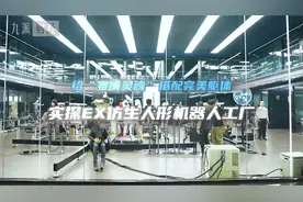 专访EX机器人总裁李博阳：搭配AI大模型后，仿生人形机器人将成→视频封面