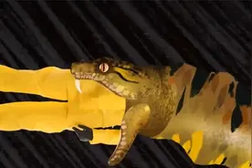 蟒蛇吞人有多恐怖？29岁男子被巨蟒吞食致死，专家揭秘捕猎过程视频封面