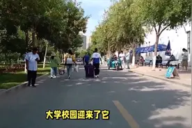 交了几万元学费，开学没有一周，大一新生就有点后悔，想退学复读视频封面