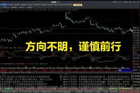 大智慧 - [机器人] 2024-12-19 14-59-24视频封面