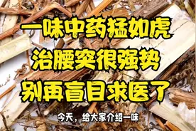 一味中药“猛如虎”，治腰突很强势，通络止痛，别再盲目求医了！