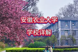 安徽农业大学：学校详解视频封面