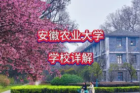 安徽农业大学：学校详解视频封面