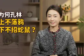 山东曲阜的孔林，为何上不落乌鸦、下不招蛇鼠？原因找到了！视频封面