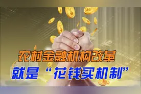 农村金融机构改革就是“花钱买机制”视频封面