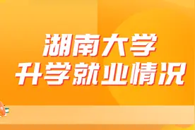 湖南大学2022-2024升学就业数据视频封面