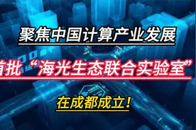 聚焦中国计算产业发展，首批“海光生态联合实验室”，在成都成立视频封面