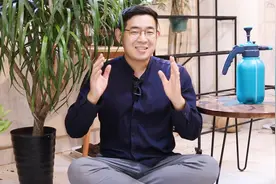龙血树怎么养，园艺师教你，龙血树的详细养护技巧视频封面
