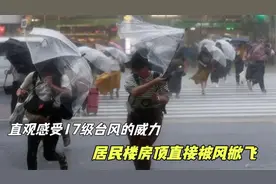 直观的感受17级台风的威力，居民楼房顶直接被风掀飞，大树折断。