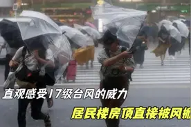 直观的感受17级台风的威力，居民楼房顶直接被风掀飞，大树折断。视频封面