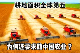 巴西耕地面积全球第五，号称世界粮仓，为何还要求助中国农业 ？视频封面