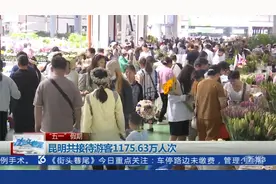 “五一”假期 昆明共接待游客1175.63万人次视频封面