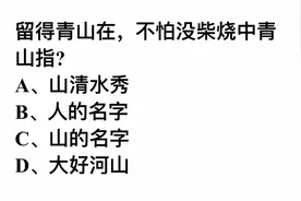 留得青山在，不怕没柴烧，这里的青山指的是？视频封面