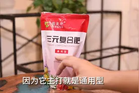 养花用什么通用型的肥料？园艺师教你，用三元复合肥，营养均衡