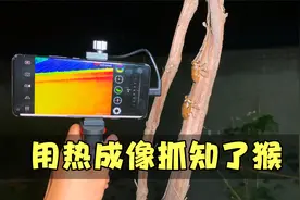 实测：用热成像抓知了猴能不能抓到？小伙实测结果很意外啊！视频封面