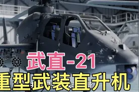 功能介绍“武直-21”重型武装直升机。视频封面