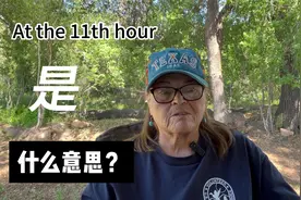 at the 11th hour是什么意思？