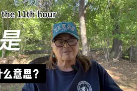 at the 11th hour是什么意思？