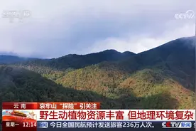 云南哀牢山“探险”引关注 未开放区不得擅入视频封面