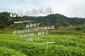 福建南平武夷山核心腹地桐木关，不能轻易进入该如何自驾视频封面