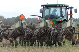 看了德国花生收获机作业，才明白什么叫先进，不得不服！视频封面