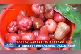 广东挖掘发展潜能以新业态新产业共同绘就“百千万工程”美好图景视频封面