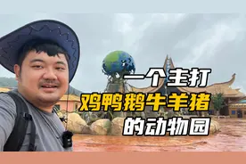 浙江柯桥兰亭森林动物王国：一个主打家禽家畜的动物园，真奇妙！视频封面