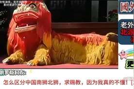 国外热评：老外看中国北派舞狮表演，真的太少见了！视频封面