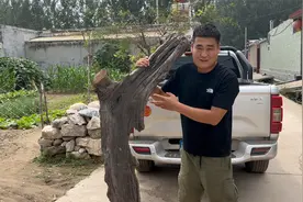 老三3800收购300多年雷击木，竟然还说捡漏了，大家看值不值视频封面