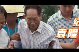 谨以此片纪念袁隆平院士诞辰93周年！视频封面
