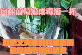 自酿葡萄酒成毒酒，一杯就把丈夫毒倒，自酿酒的危险超乎你的想象视频封面