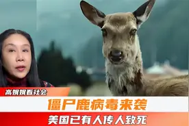 僵尸病毒来袭!美国已有人传人致死案例!怎么预防?@美国高娓娓