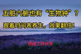 五脏六腑也有“生物钟”？跟着时间表养生，效果翻倍！