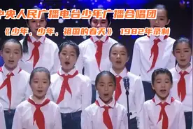 《少年，少年，祖国的春天》中央少年广播合唱团，1982年原版录音视频封面