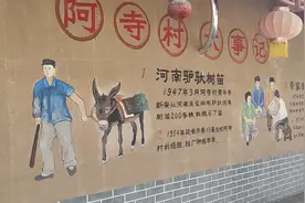洛川的苹果第一村，阿寺村！视频封面