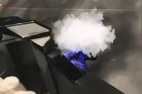 上海迪士尼疯狂动物城一儿童被游览车撞倒？园方：确有一儿童被撞