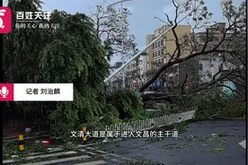 “摩羯”过境后的海南文昌市区：大树倒伏 大面积停电断网