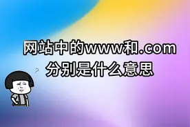 网站中的www和.COM代表什么意思？
