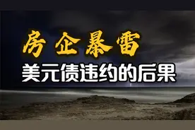 房企暴雷，美元债违约的后果视频封面