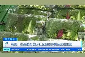 韩国：蔬菜价格飙升 一斤菠菜约合人民币115元视频封面