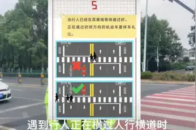 一看就懂！如何正确礼让行人？视频封面