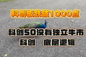 科创50跌破1000点，告诉你不是牛，没有铁底，被套了，快来学习视频封面